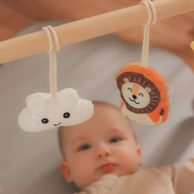 VIGA PolarB Pałąk Stojak dla Niemowląt Baby Gym