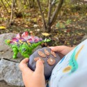 WOOPIE Dinozaur Zdalnie Sterowany RC Robot Stegozaur