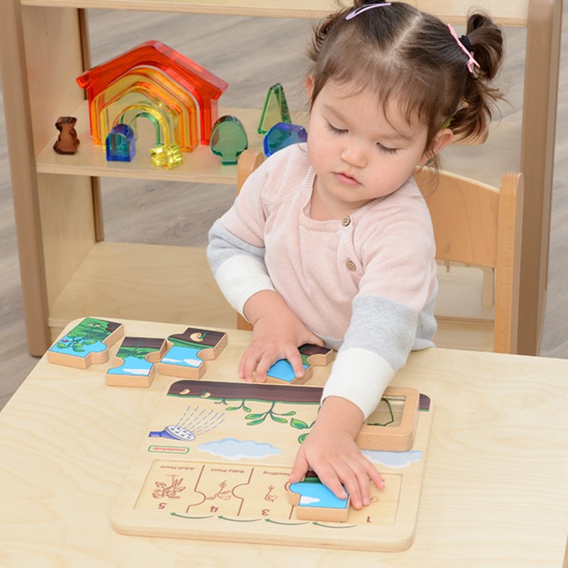 Masterkidz Drevená edukačná tabuľa Životný cyklus fazule