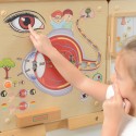 MASTERKIDZ Tablica Edukacyjna Zmysł Wzroku Montessori