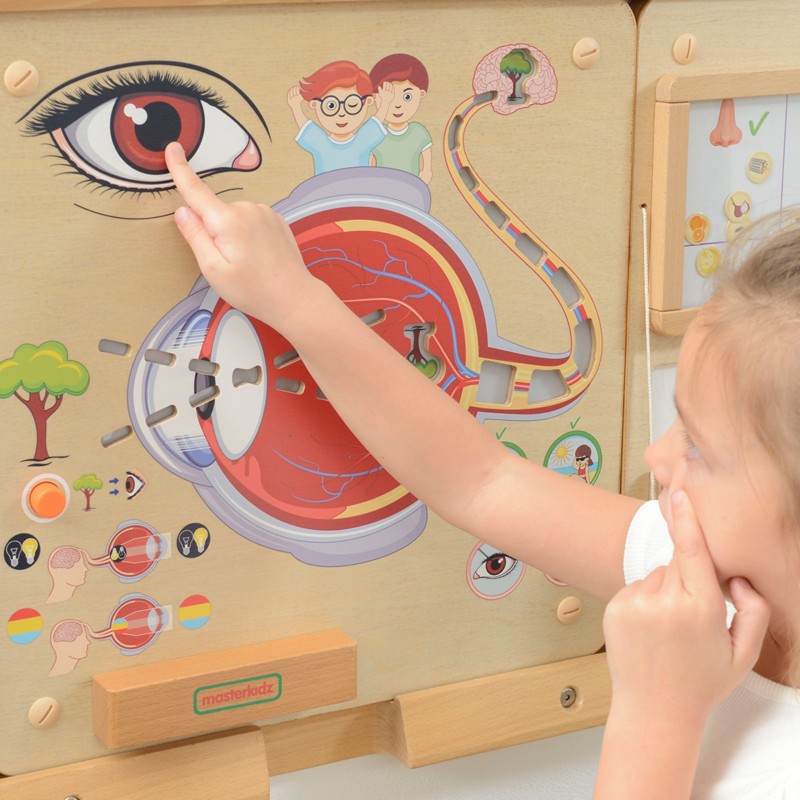 MASTERKIDZ Tablica Edukacyjna Zmysł Wzroku Montessori