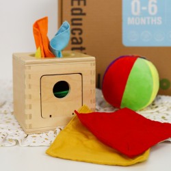 Tooky Toy Vzdelávací Box 6v1 pre Deti od 0-6 Mesiacov