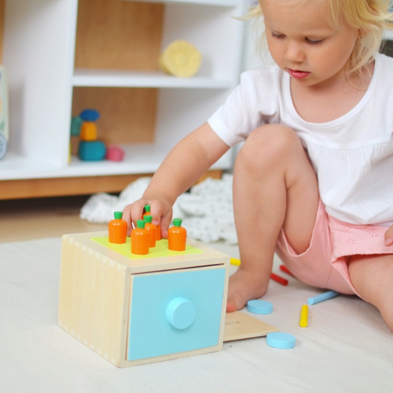 Tooky Toy Edukačný box Midi 6v1 (13–18 mesiacov) – Montessori sada hračiek