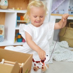 Tooky Toy Vzdelávací Box 6v1 pre Deti od 19-24 Mesiacov