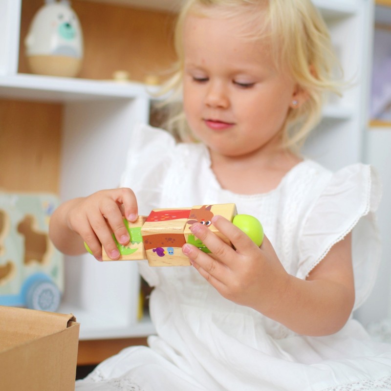 Tooky Toy Vzdelávací Box 6v1 pre Deti od 19-24 Mesiacov