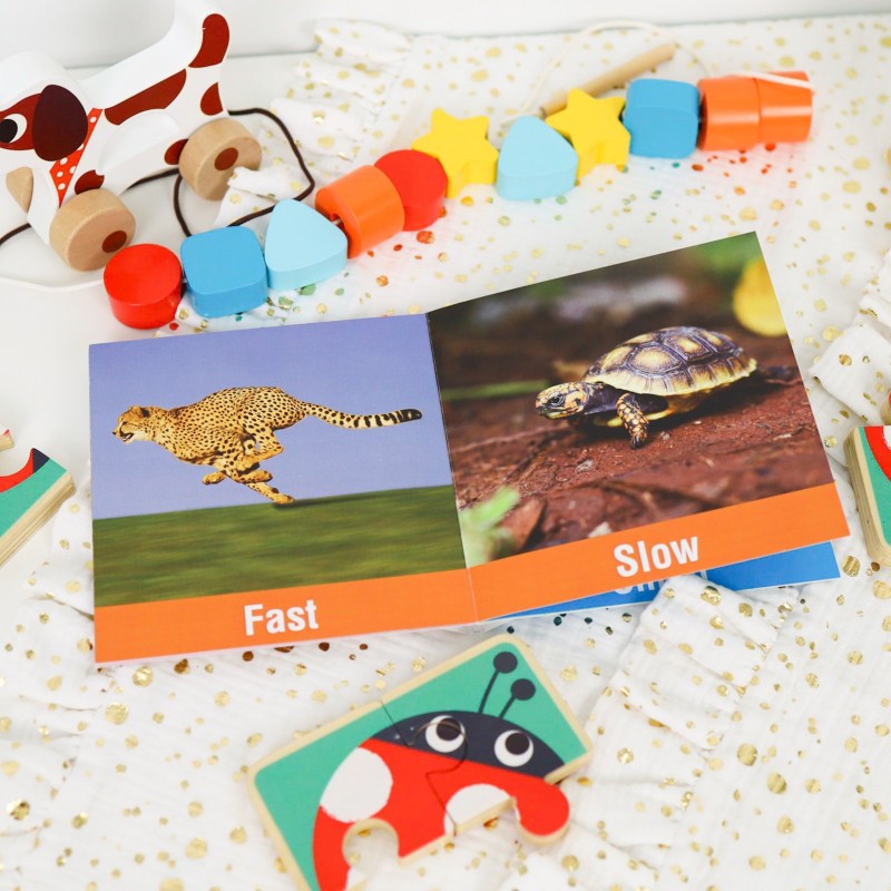 Tooky Toy Vzdelávací Box 6v1 pre Deti od 19-24 Mesiacov