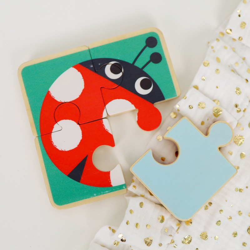 Tooky Toy Vzdelávací Box 6v1 pre Deti od 19-24 Mesiacov