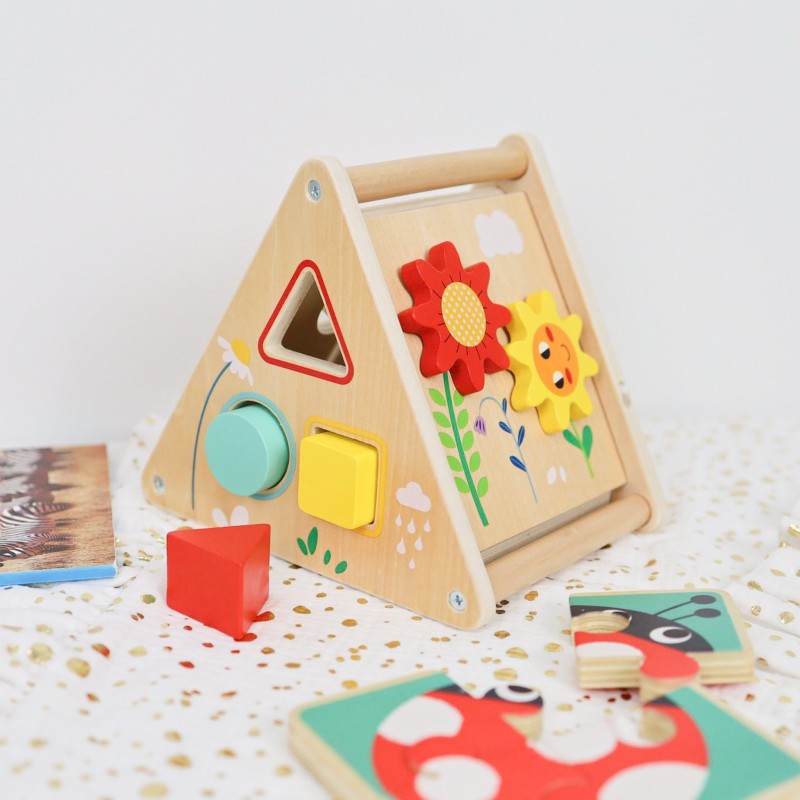 Tooky Toy Vzdelávací Box 6v1 pre Deti od 19-24 Mesiacov