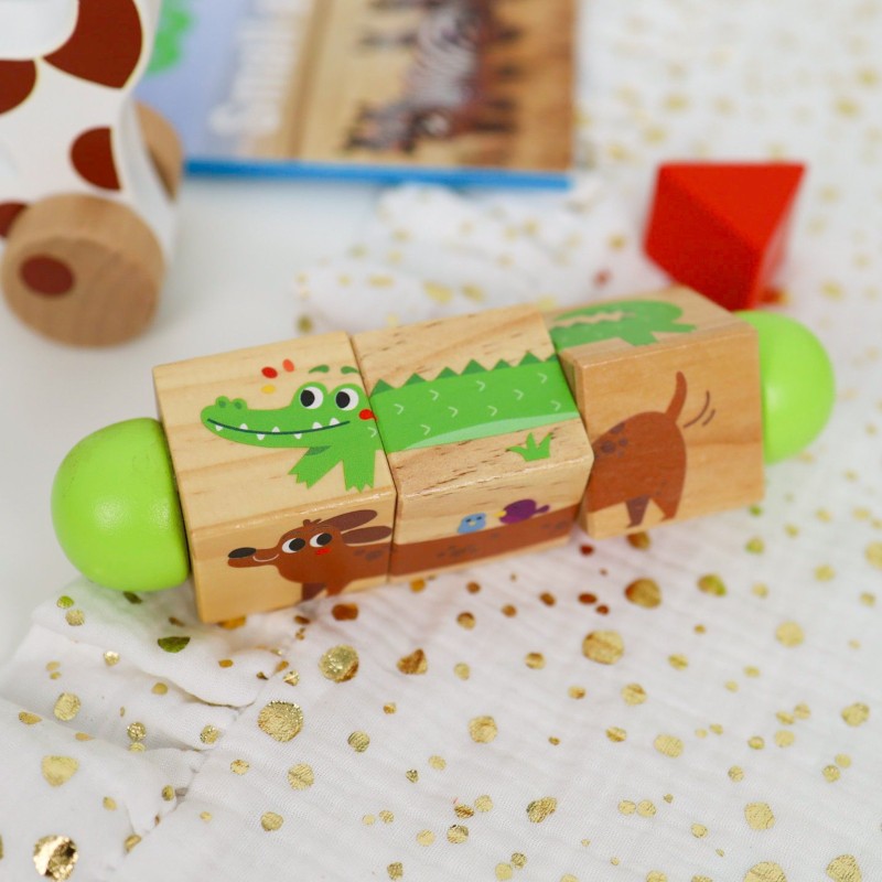 Tooky Toy Vzdelávací Box 6v1 pre Deti od 19-24 Mesiacov