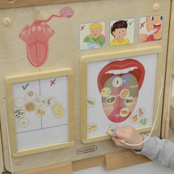 Masterkidz Edukačná Montessori Tabuľa - Chuť