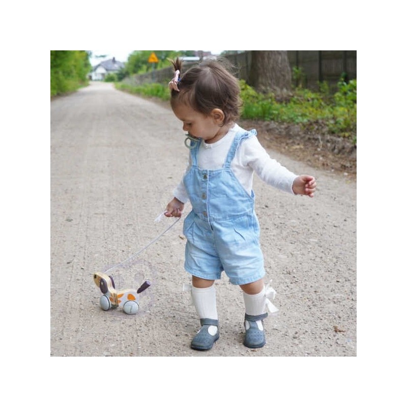 VIGA PolarB Drevený Psík na Ťahanie