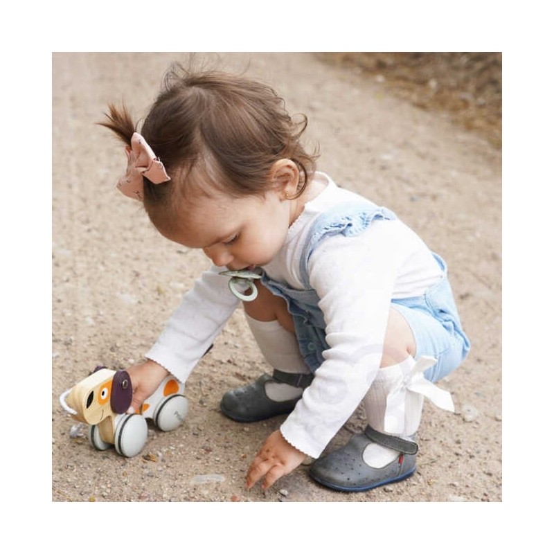 VIGA PolarB Drevený Psík na Ťahanie