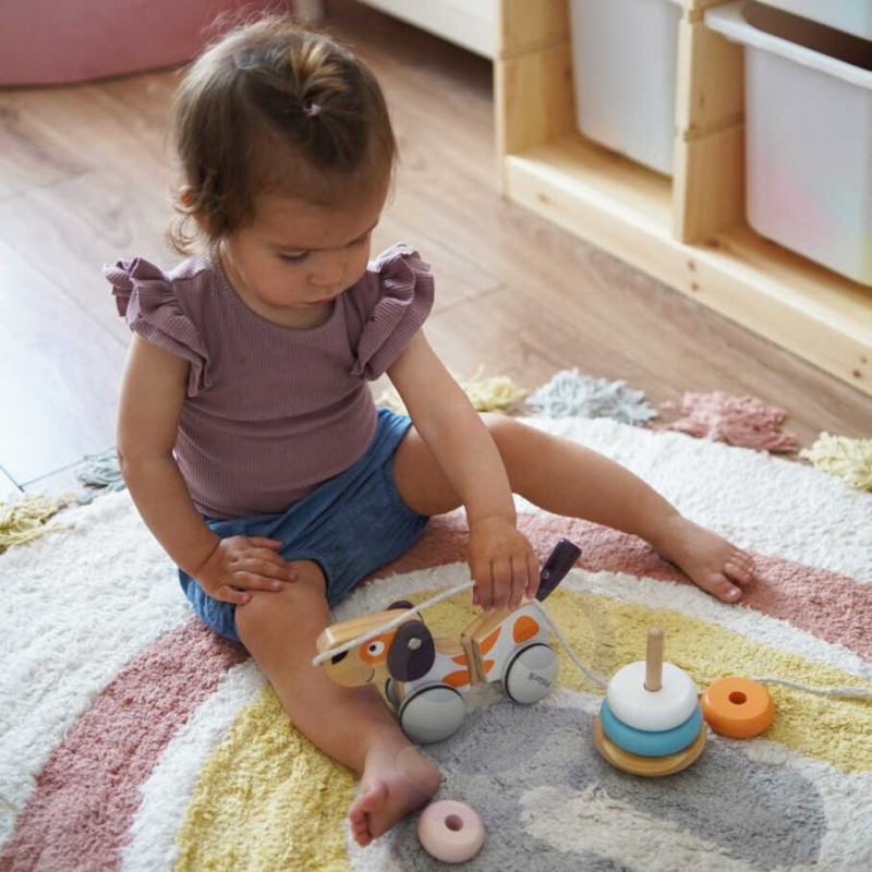 VIGA PolarB Drevený Psík na Ťahanie