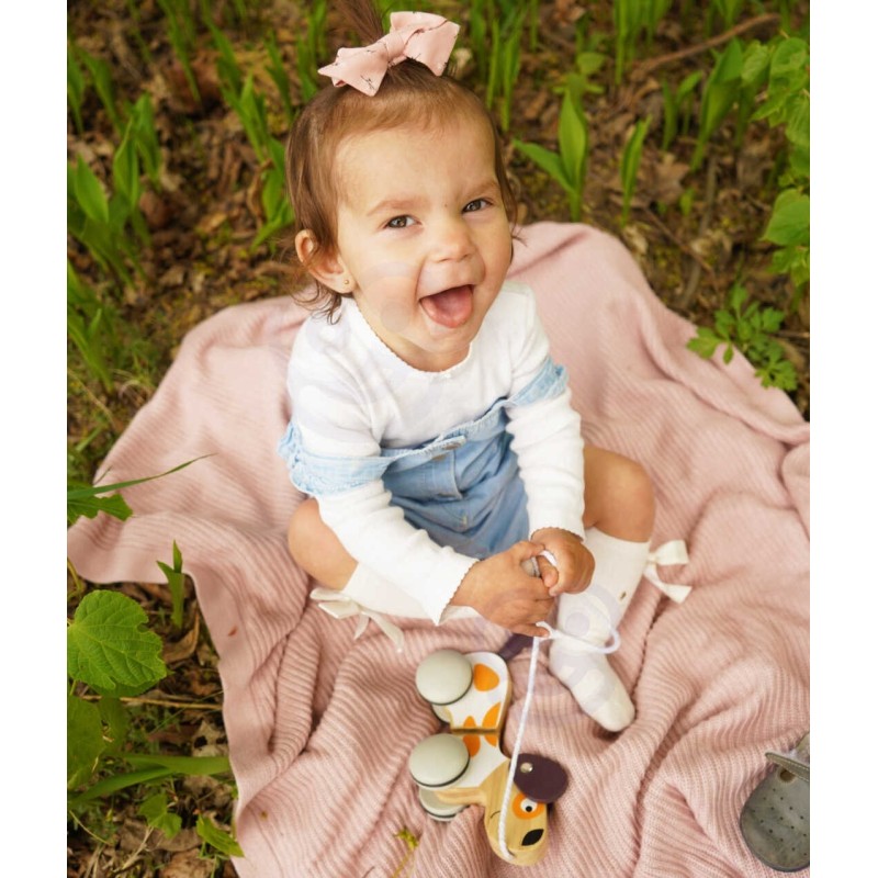 VIGA PolarB Drevený Psík na Ťahanie