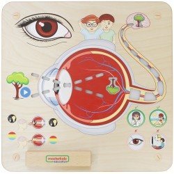 Edukačná Tabuľa Masterkidz - Zrak