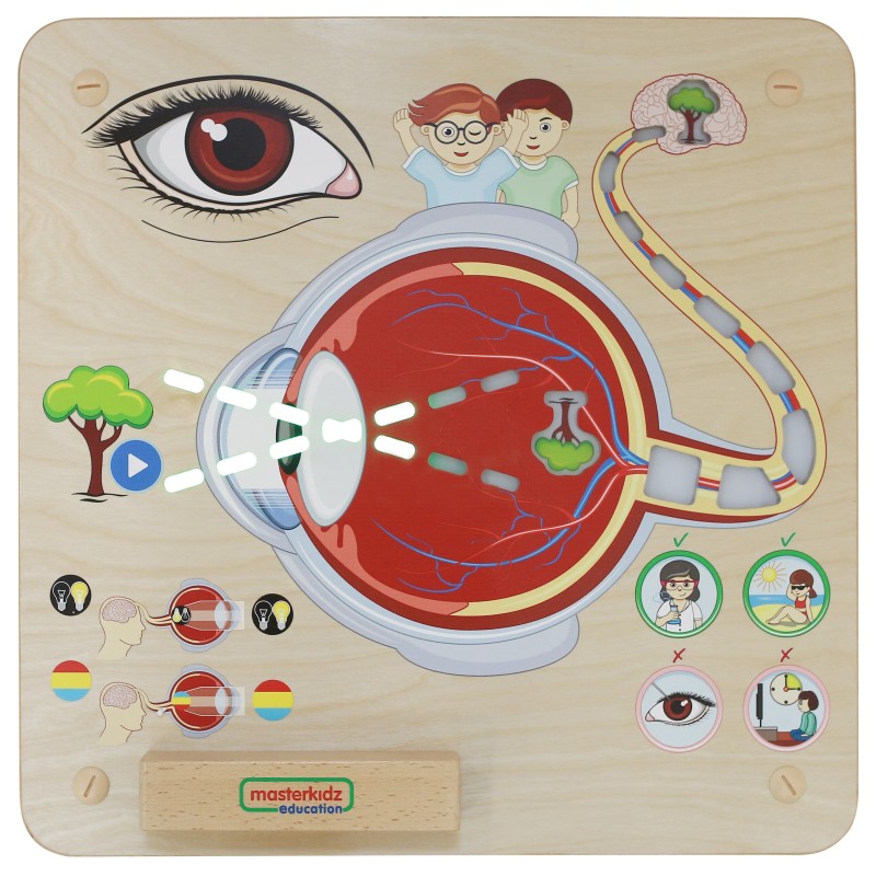 Edukačná Tabuľa Masterkidz - Zrak
