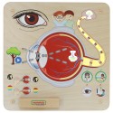 Edukačná Tabuľa Masterkidz - Zrak