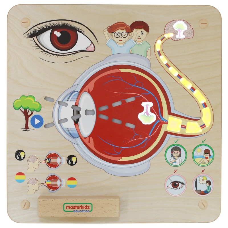 Edukačná Tabuľa Masterkidz - Zrak