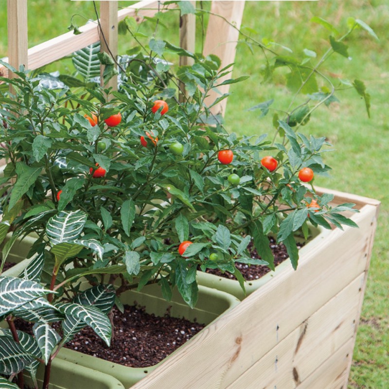 CLASSIC WORLD EDU Mobilný Drevený Záhon s Tabuľou