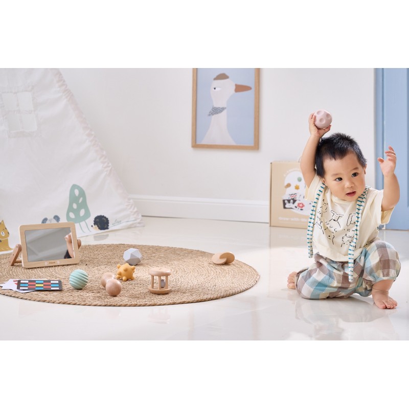 VIGA Vzdelávací Box pre Deti od 6 Mesiacov