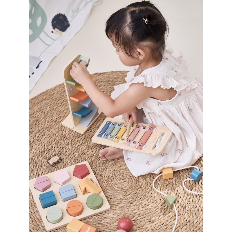 VIGA Vzdelávací Box pre Deti od 18-24 Mesiacov