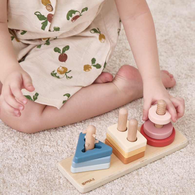 VIGA Vzdelávací Box pre Deti od 24-36 Mesiacov