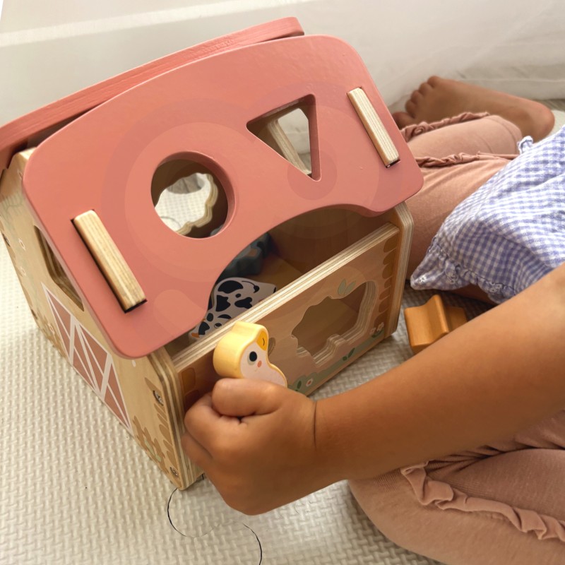 WOOPIE GREEN Drevená Farma na Triedenie Farieb a Tvarov