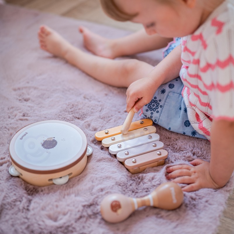 VIGA PolarB Sada Hudobných Nástrojov s Ježkom