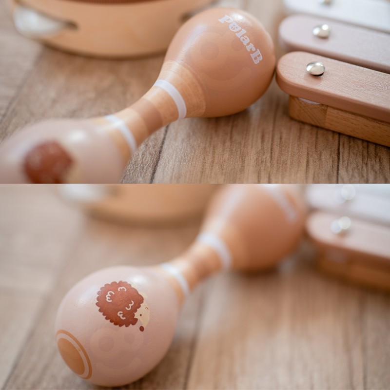 VIGA PolarB Sada Hudobných Nástrojov s Ježkom