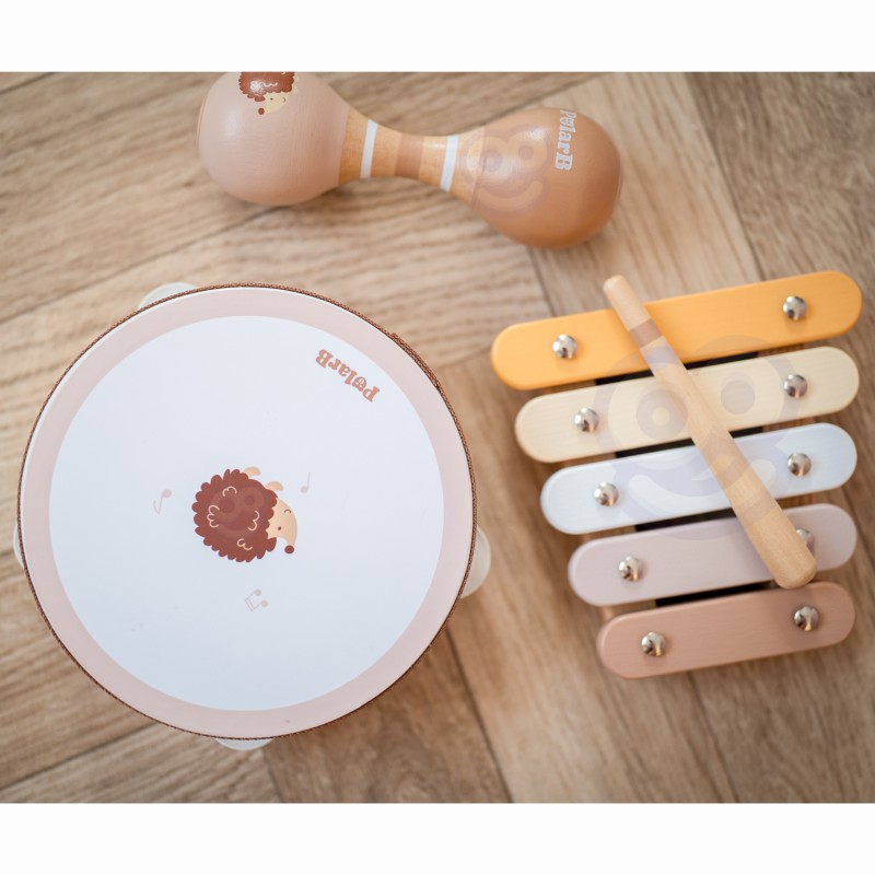 VIGA PolarB Sada Hudobných Nástrojov s Ježkom