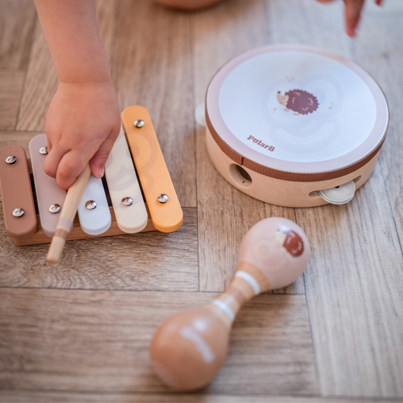 VIGA PolarB Sada Hudobných Nástrojov s Ježkom