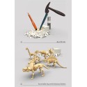 WOOPIE Zestaw Archeologiczny Wykopaliska Szkieletów Dinozaurów 6w1 Mały Archeolog