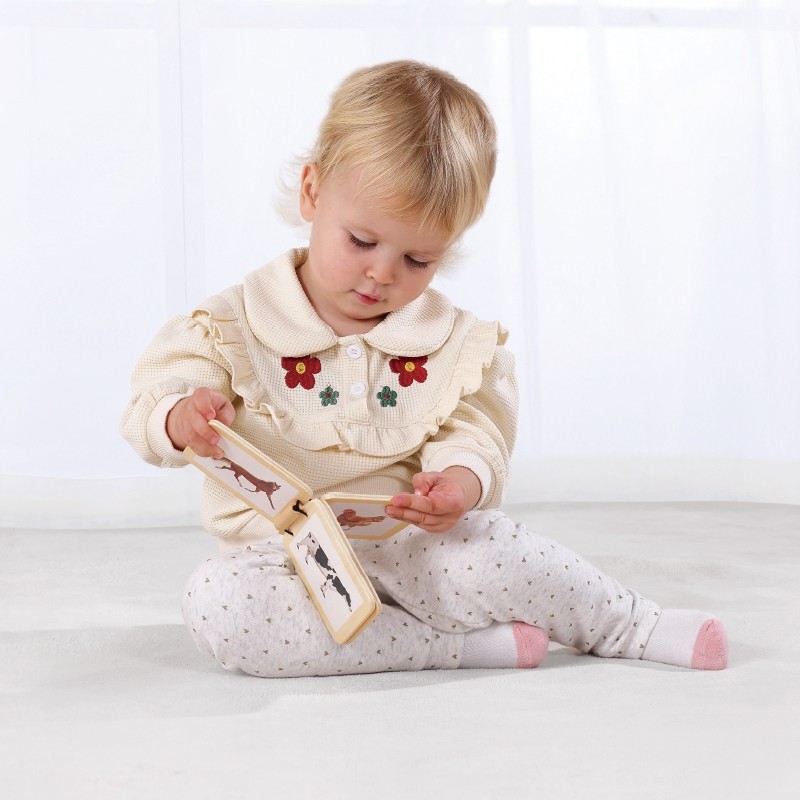 WOOPIE GREEN Drevený Montessori Box 7-8m | XXL Edukačná sada 6v1 (FSC 26 ks)