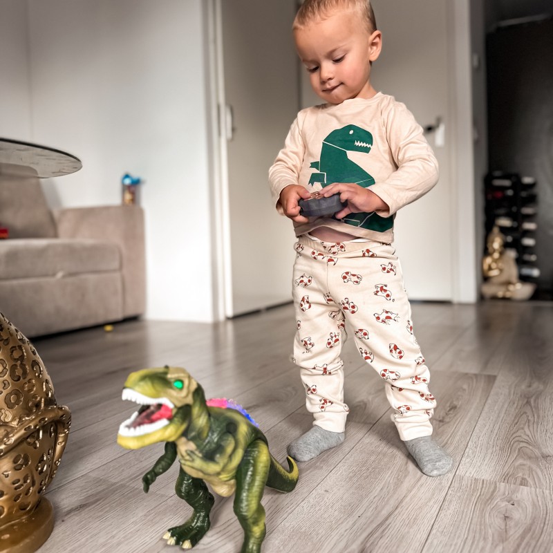 WOOPIE Dinozaur Zdalnie Sterowany RC Robot T-Rex
